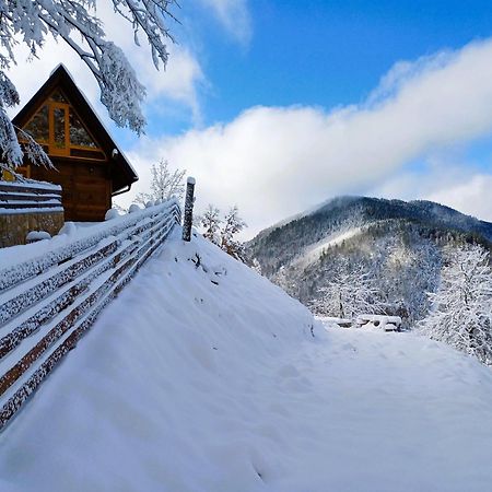 Drvene Kuce Suska Vila Zaovine Exterior foto