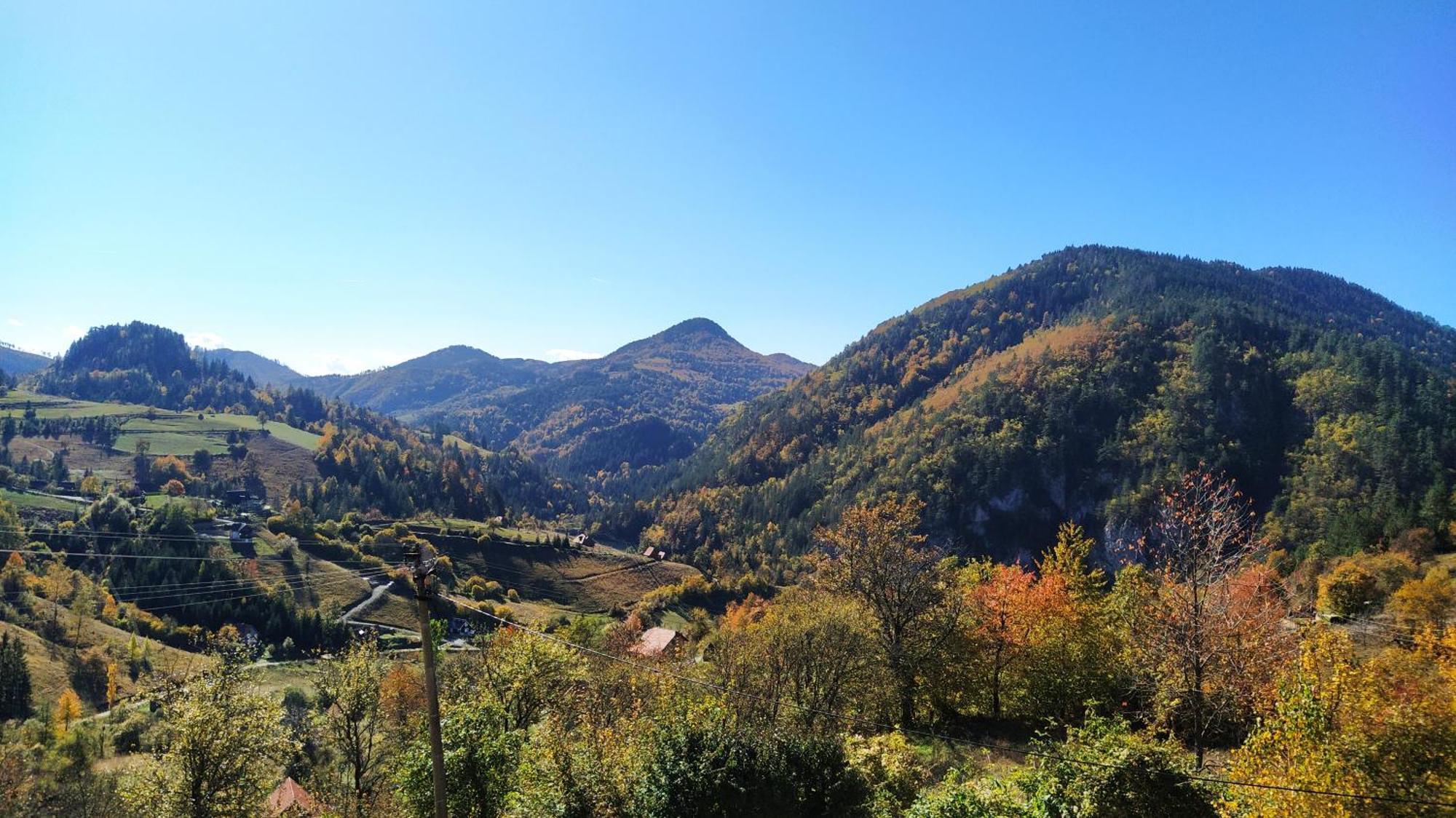 Drvene Kuce Suska Vila Zaovine Exterior foto