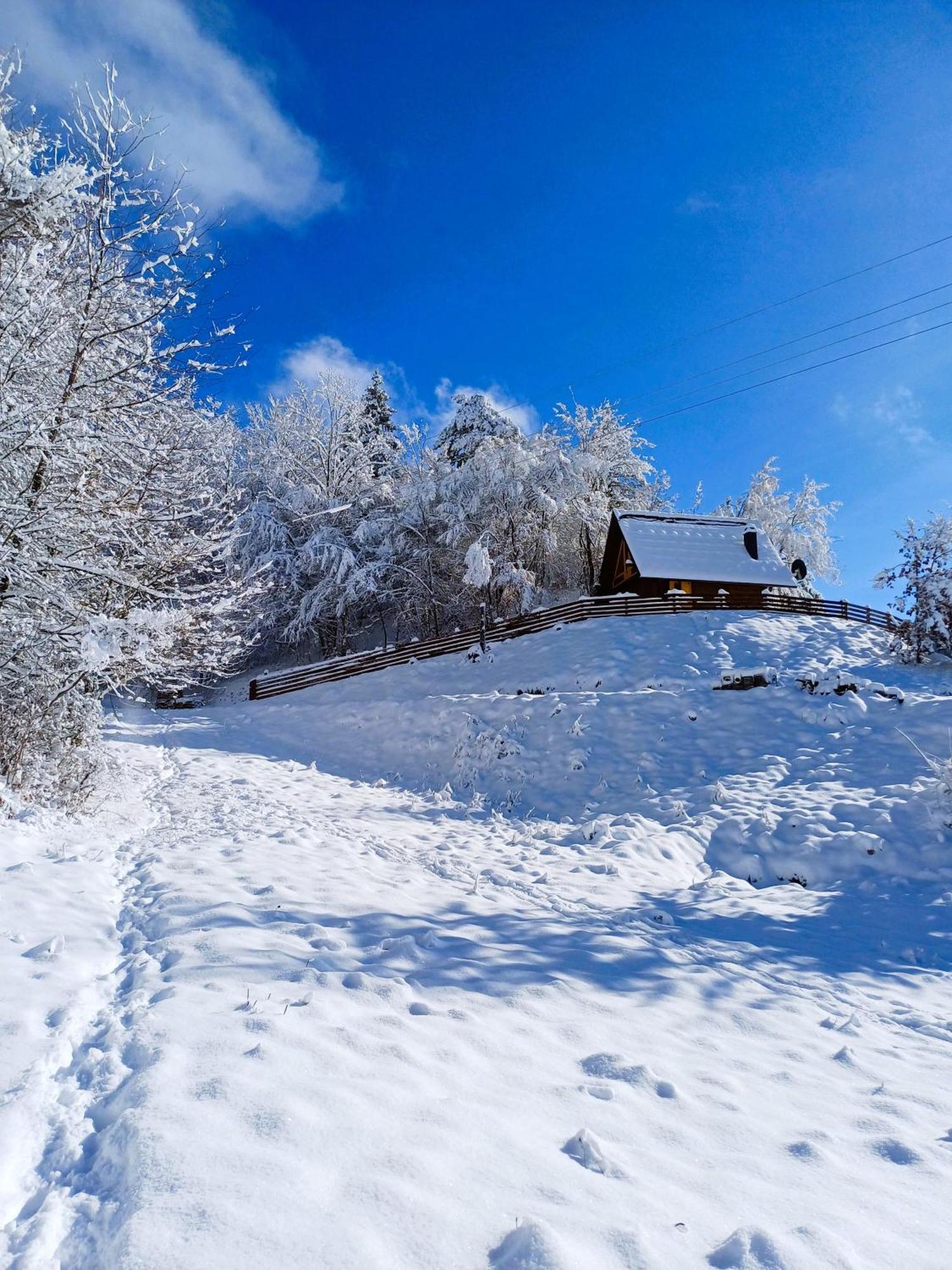 Drvene Kuce Suska Vila Zaovine Quarto foto