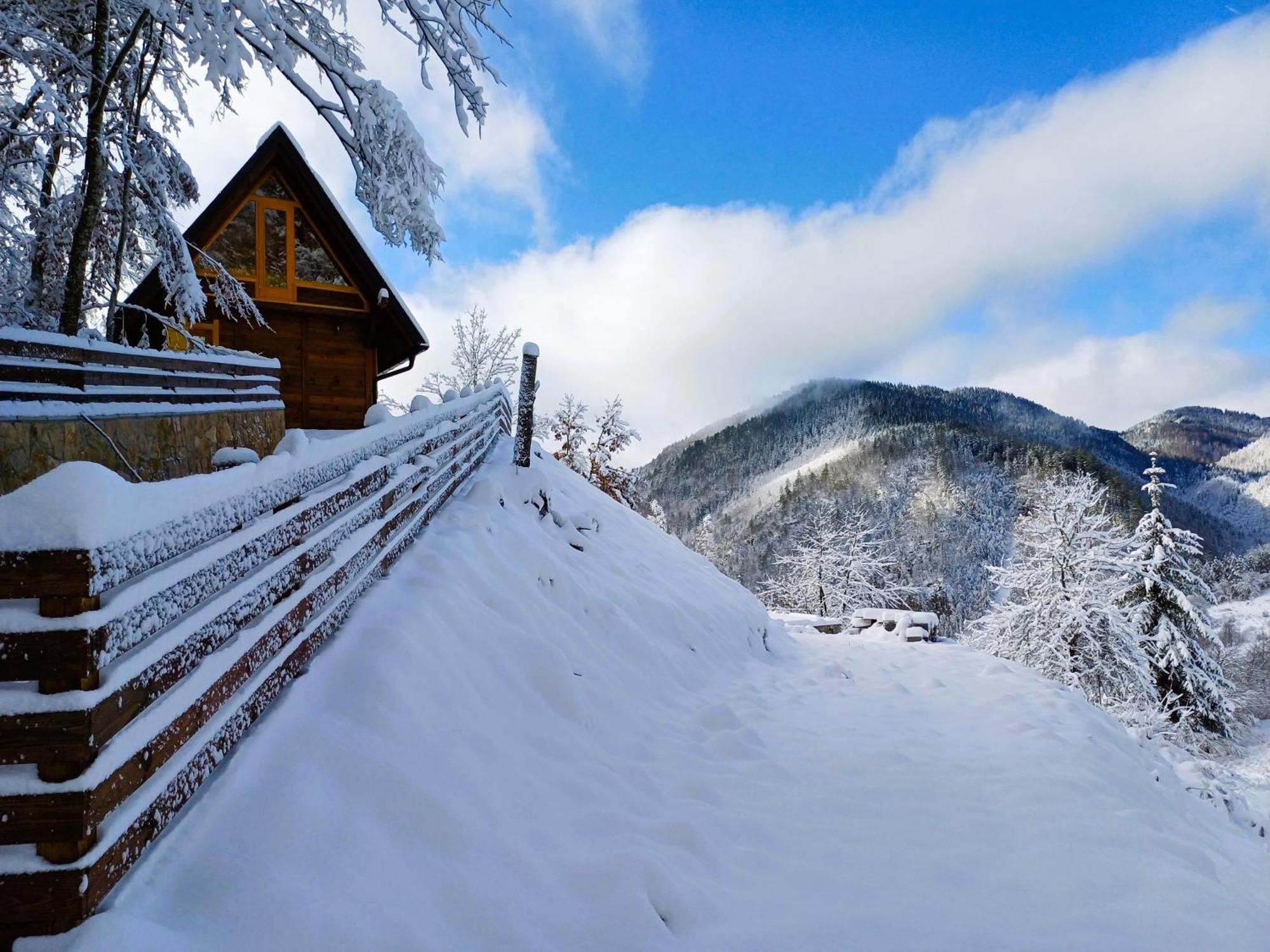 Drvene Kuce Suska - Wooden Houses Suska Zaovine Exterior foto