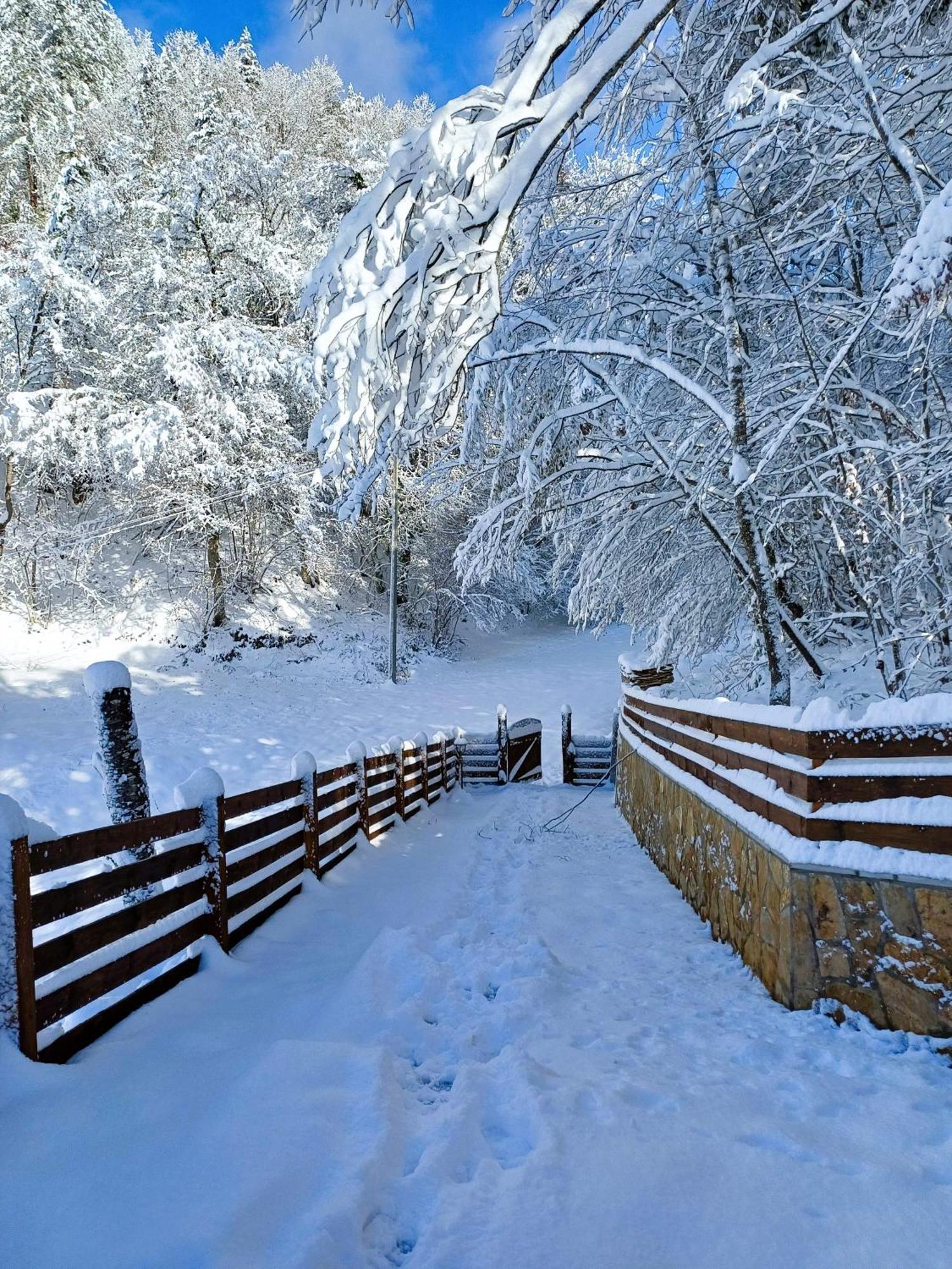 Drvene Kuce Suska Vila Zaovine Quarto foto