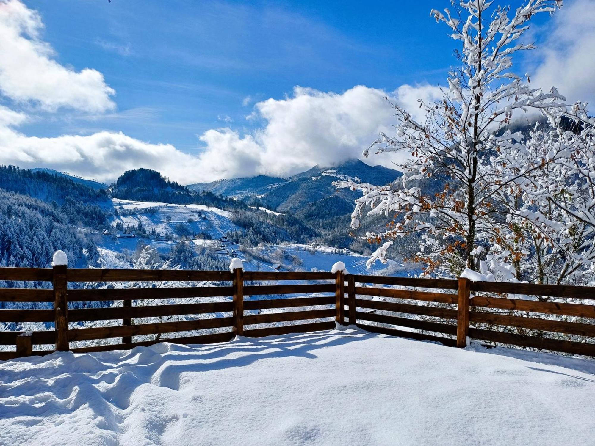 Drvene Kuce Suska Vila Zaovine Exterior foto